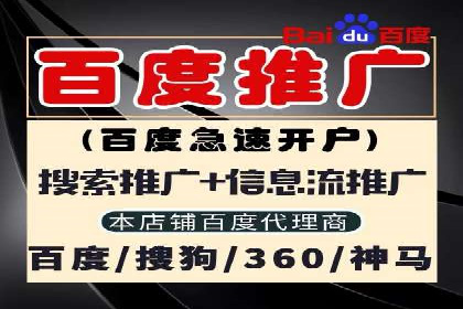 解析某某SEM服务公司如何通过数据分析优化广告效果